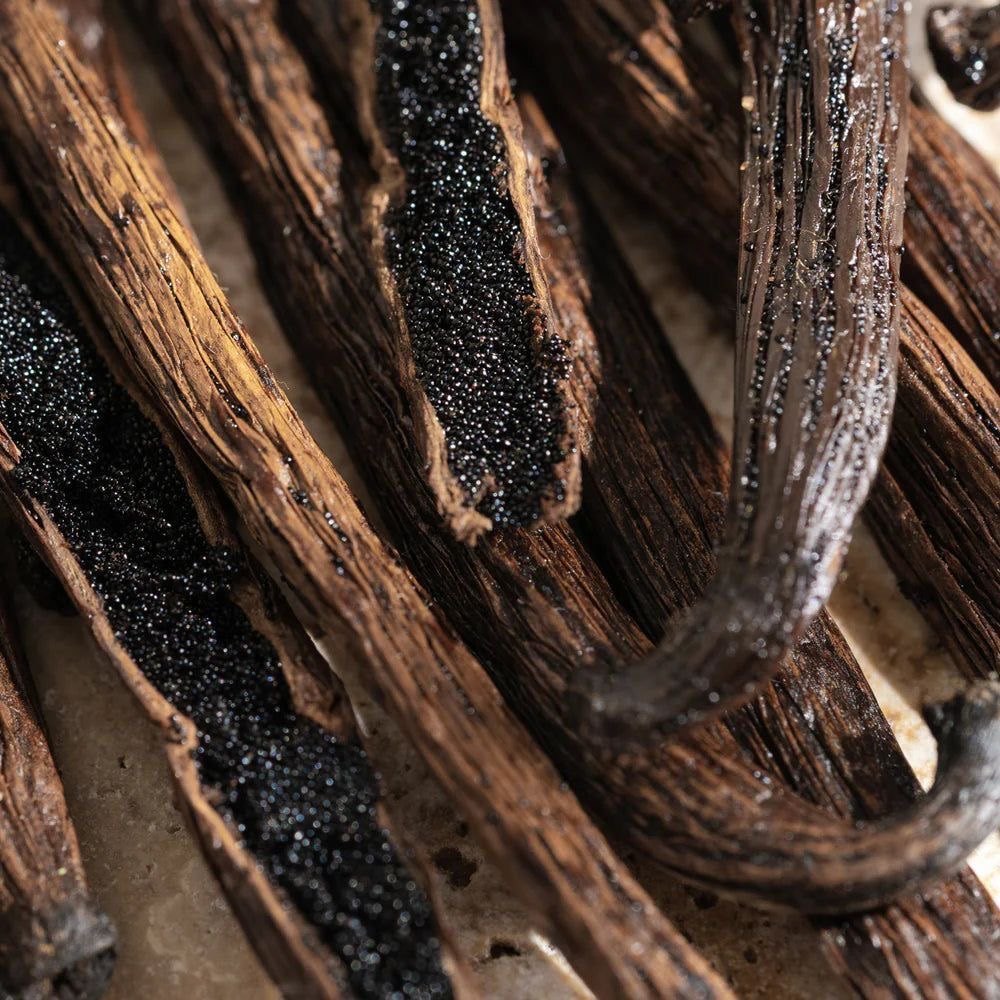 Grains de vanille